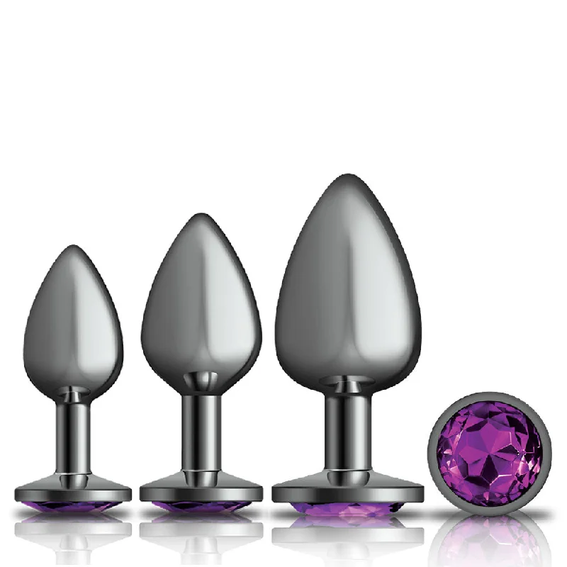 Cheeky Charms - Metal Butt Plug Gunmetal - Round - Deep Purple - Anal Trainer Kit